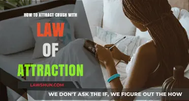 Manifest Your Crush: Law of Attraction Secrets for Love Success