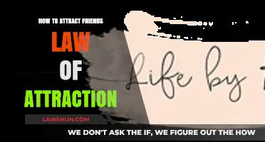 Manifest Meaningful Friendships: Using the Law of Attraction to Attract Friends
