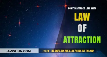 Manifesting Love: Law of Attraction Secrets for Attracting Your Soulmate
