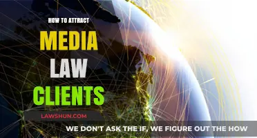 Strategies to Attract and Retain Media Law Clients Effectively