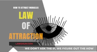 Manifest Miracles: Mastering the Law of Attraction for Abundance