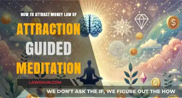 Manifest Wealth: Guided Meditation Techniques for Attracting Money