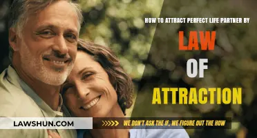 Manifest Your Soulmate: Using the Law of Attraction for Love