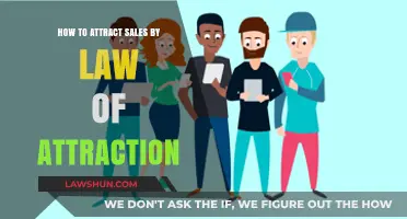 Manifesting Sales Success: Mastering the Law of Attraction for Business Growth