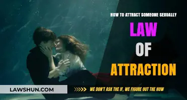 Manifesting Sexual Attraction: Law of Attraction Secrets for Irresistible Charm