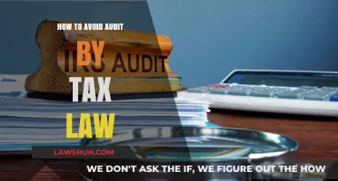 Avoiding Tax Audits: Strategies for Compliance