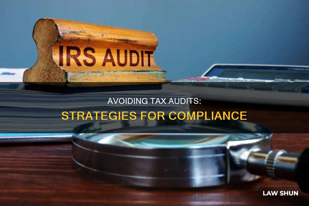 how to avoid audit by tax law