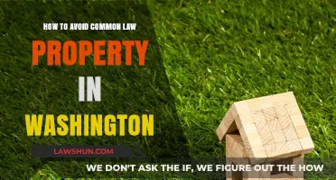 Understanding Common Law Property in Washington: What You Need to Know