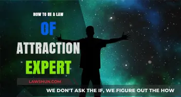Mastering the Law of Attraction: Expert Tips for Manifesting Success