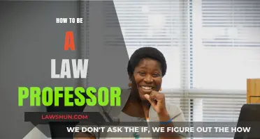 Navigating the Path to Becoming a Distinguished Law Professor