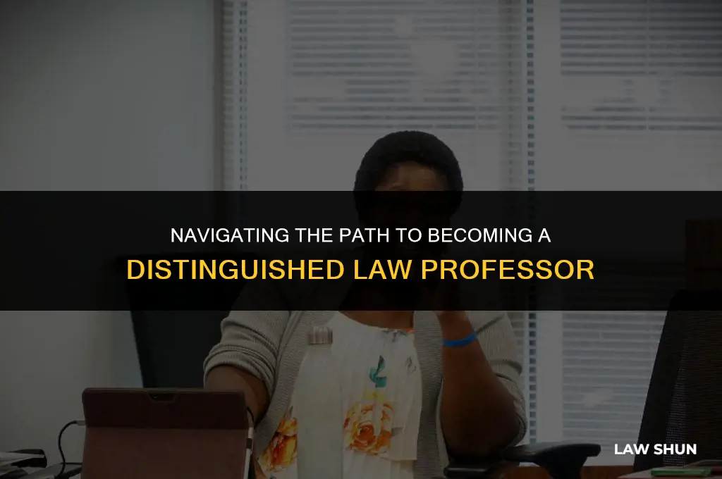 how to be a law professor