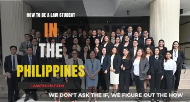 Navigating Philippine Law School: Tips for Aspiring Legal Minds