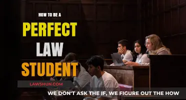 Mastering Law School: Essential Tips for the Perfect Law Student