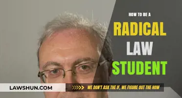 Radical Law Student Guide: Transformative Strategies for Legal Advocacy and Change