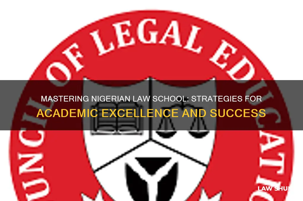 how to be a successful law student in nigeria
