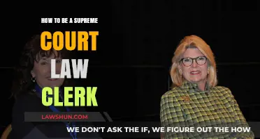 Mastering the Path to Becoming a Supreme Court Law Clerk