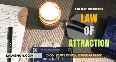 Mastering Alignment: Practical Steps to Harness the Law of Attraction