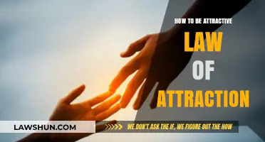 Master the Law of Attraction: Secrets to Becoming Irresistibly Attractive