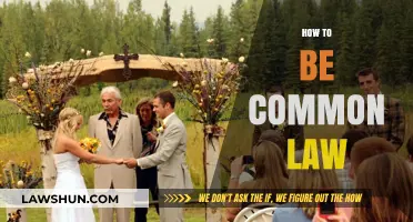 Understanding Common Law: Your Guide to Being Legally Recognized