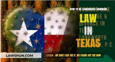 Understanding Texas Common Law Marriage Requirements