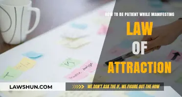 Cultivating Patience: Mastering the Art of Manifesting with the Law of Attraction