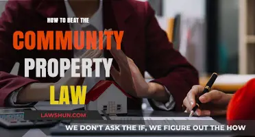 Strategies to Protect Assets and Bypass Community Property Laws