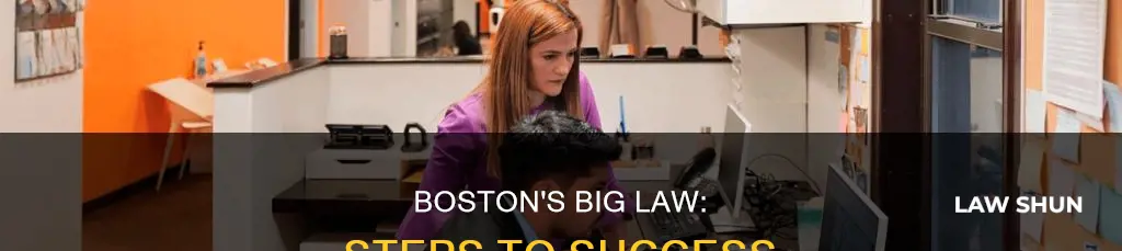 how to become a big law layer in boston