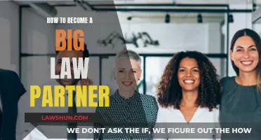 Becoming a Big Law Partner: Strategies for Success