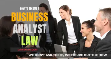 Business Analyst in Law: Skills and Steps to Take