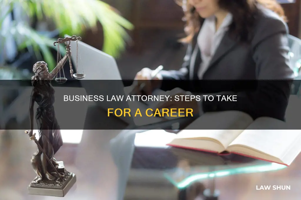 how to become a business law attorney