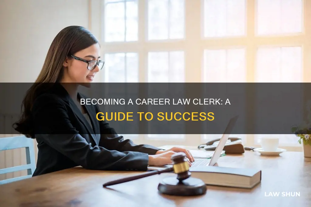 how to become a career law clerk