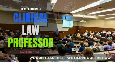 Strategies to Become a Clinical Law Professor