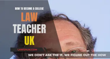 Becoming a College Law Teacher in the UK: A Guide