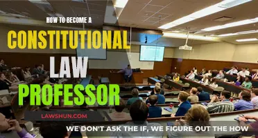 Becoming a Constitutional Law Professor: Steps to Success