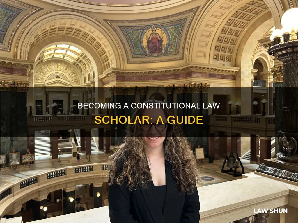 how to become a constitutional law scholar