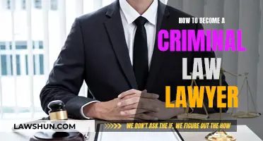 Becoming a Criminal Law Lawyer: Steps to Take