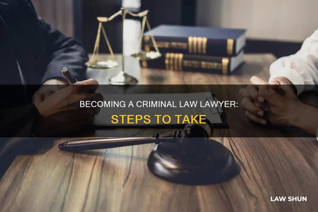 how to become a criminal law lawyer