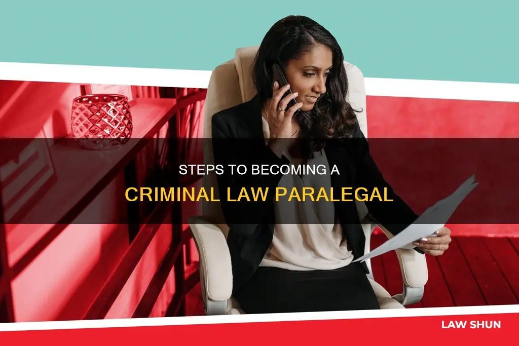 how to become a criminal law paralegal