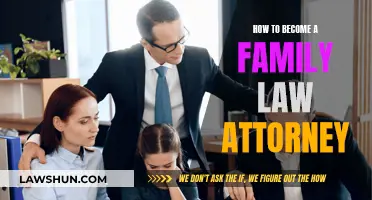 Becoming a Family Law Attorney: Steps to Take