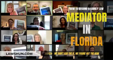 Becoming a Family Law Mediator: Florida Requirements