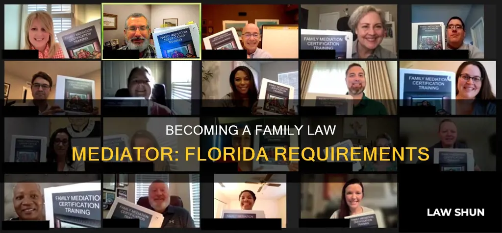 how to become a family law mediator in florida