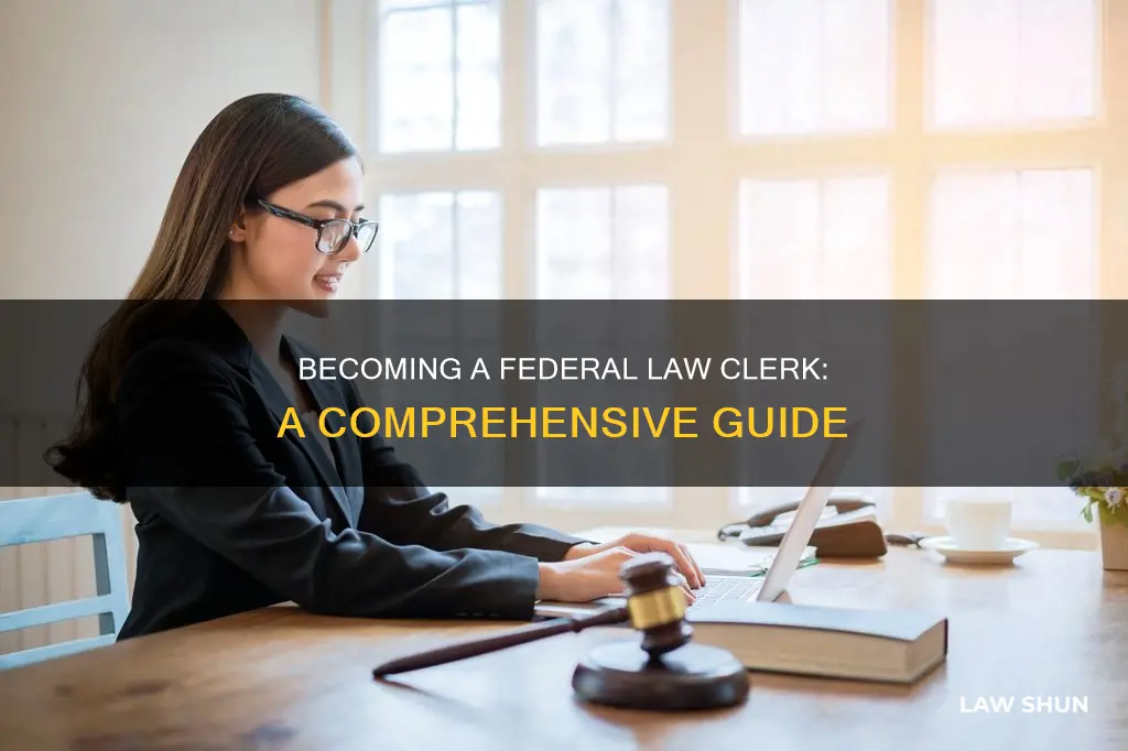 how to become a federal law clerk