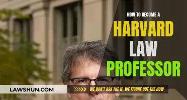 Strategies to Become a Harvard Law Professor