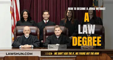 Becoming a Judge: Law Degree Alternatives