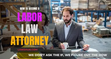 Becoming a Labor Law Attorney: Steps to Take