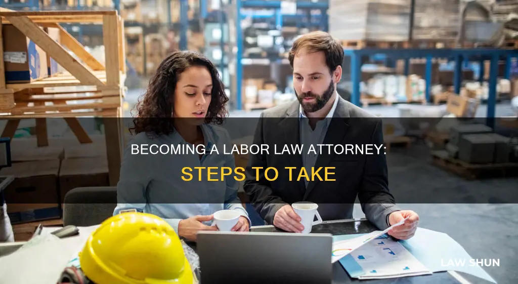 how to become a labor law attorney