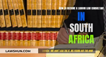 Becoming a Labor Law Consultant in South Africa: A Guide