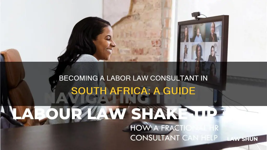 how to become a labour law consultant in south africa