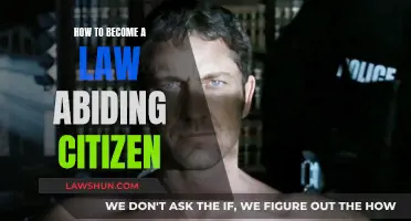 Being a Law-Abiding Citizen: A Guide to Doing It Right