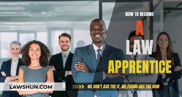 Becoming a Law Apprentice: A Guide to Success